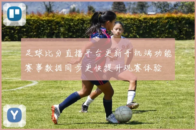 足球比分直播平台更新手机端功能赛事数据同步更快提升观赛体验