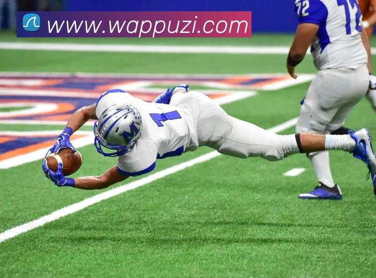 世界杯平台官网登录平台生态图