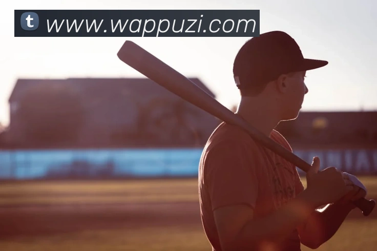 世界杯平台官网登录APP 封面图